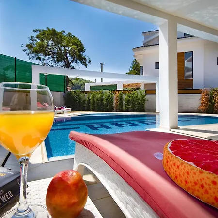 Hisar Celebrity E Villa