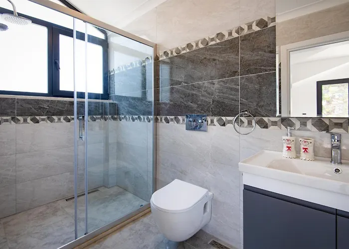 فيلة Hisar Celebrity E