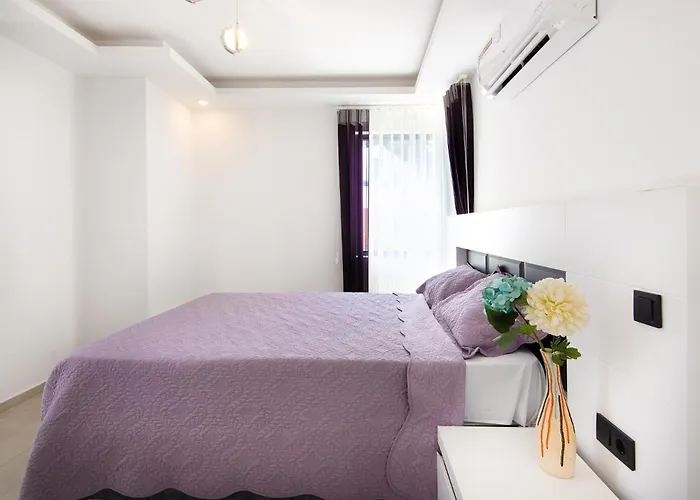 Hisar Celebrity E فيلة *