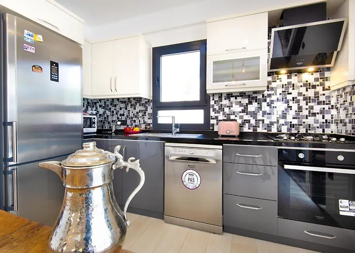 فيلة Hisar Celebrity E