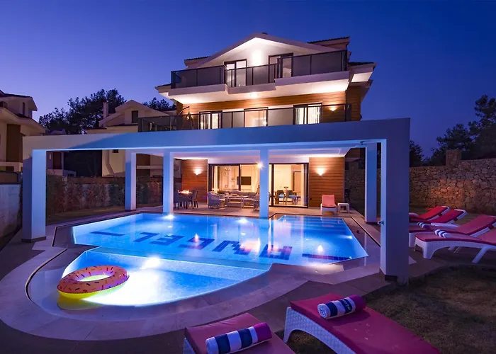 فيلة Hisar Celebrity E