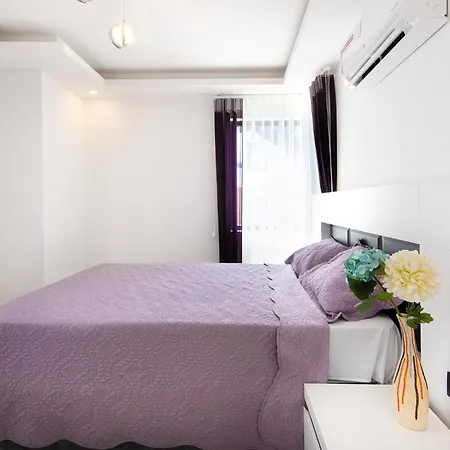 Hisar Celebrity E Вилла *